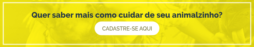 Quer saber mais sobre cães?